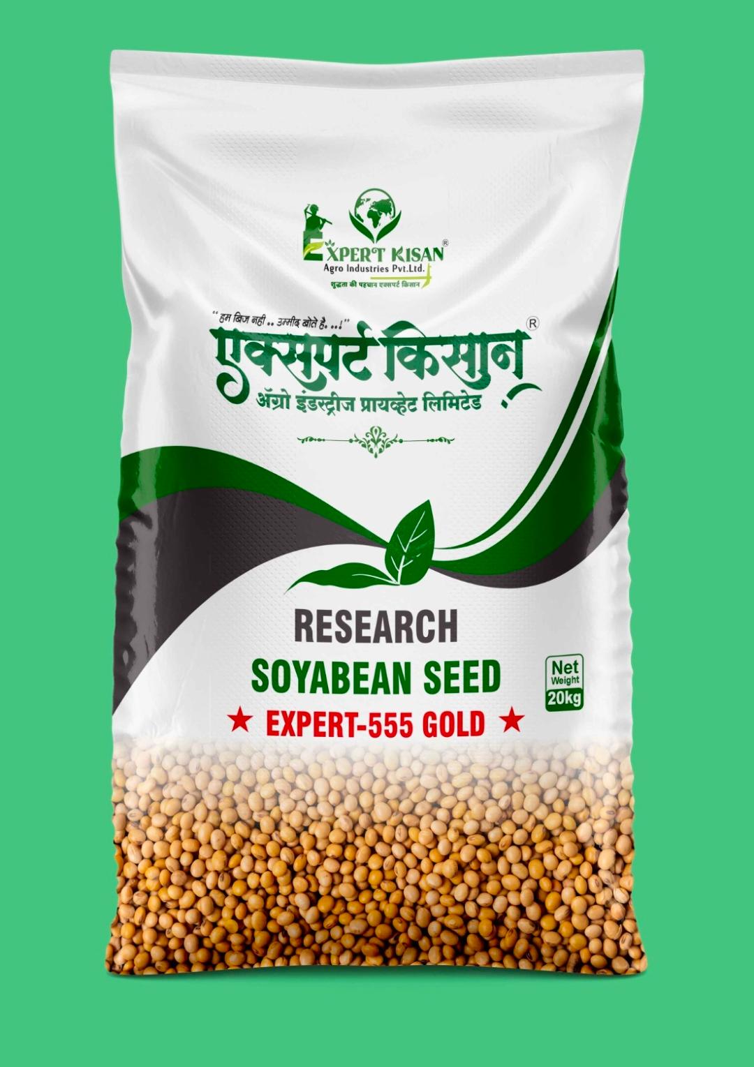 EXPERT-555 GOLD Research Soybean Seed